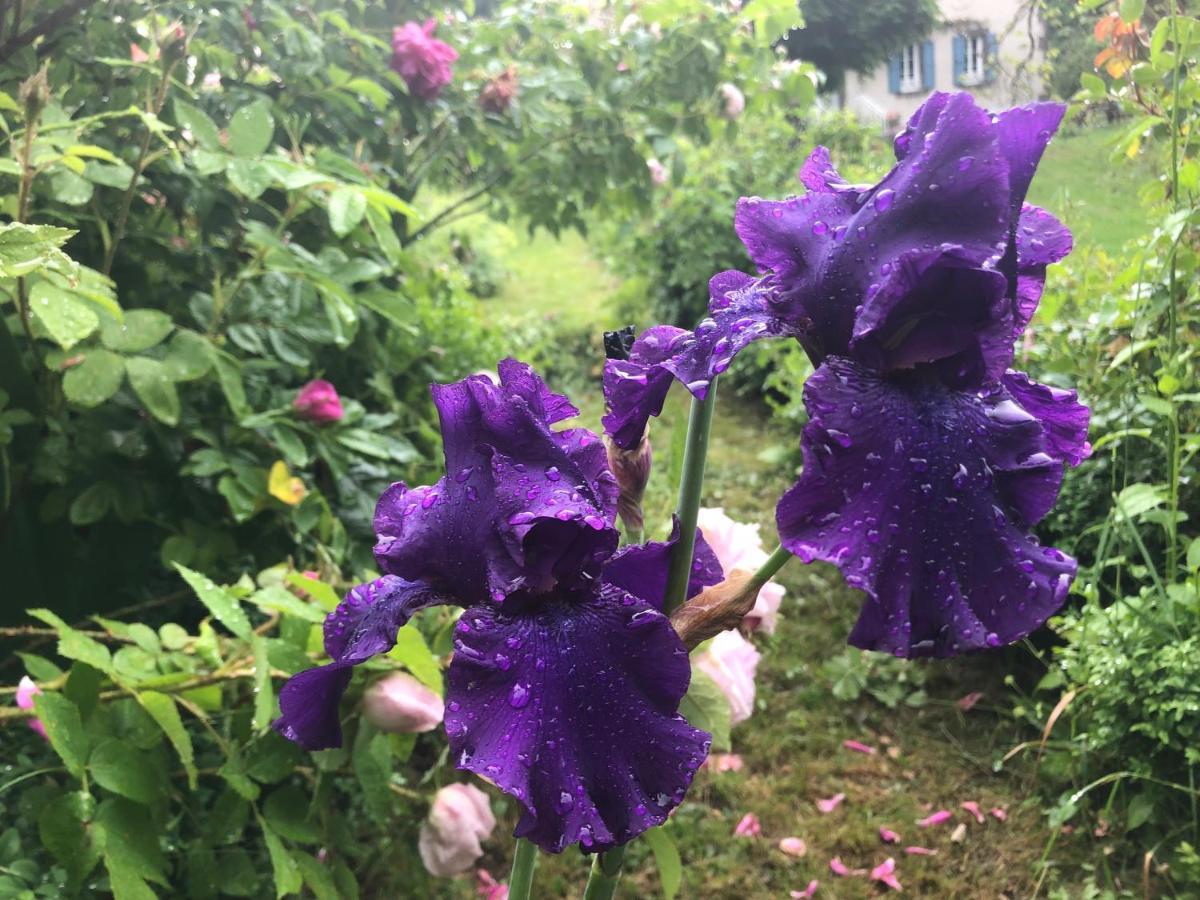 디제크 Le Figarelou B&B 외부 사진