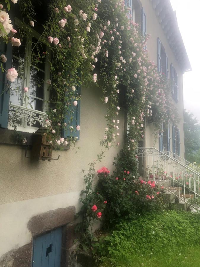 디제크 Le Figarelou B&B 외부 사진